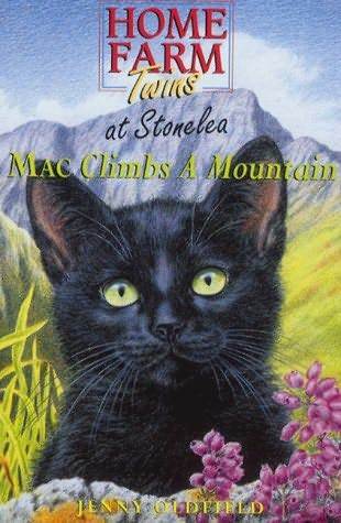 Mac Climbs a Mountain (Home Farm Twins At Stonelea, #2)