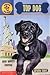 Top Dog (Puppy Patrol, #38)