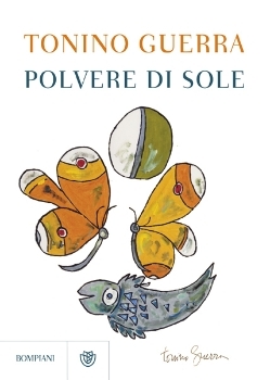 Polvere di sole (Paperback)