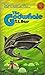 The Godwhale (The Hive, #2)