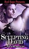 Sculpting David