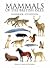 Mammals of the British Isle...