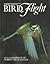 Bird Flight: An Illustrated Study of Birds' Aerial Mastery