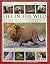 Life in the Wild (Amazing Animal Kingdom)
