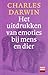 Het uitdrukken van emoties bij mens en dier