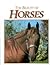 The Beauty of Horses