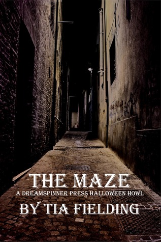 The Maze (ebook)