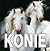 Konie