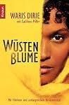 Wüstenblume