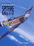 Spitfire Mks I-V - Combat Legend