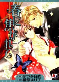 春に焦がれて [Haru ni Kogarete] (Paperback)