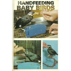 Handfeeding Baby Birds