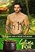 Irish Heat (Book 1 "Love, Lore & A Wee Bit of Larceny")