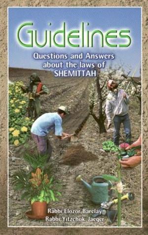 Guidelines: Questions and Answers About the Laws of Shmittah (Unknown Binding)
