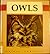 Owls (Animal Families)