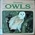 Discovering Owls (Discovering Nature Series)