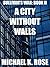 A City without Walls (Sullivan's War, #2)