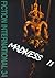 Fiction International 34: Madness II