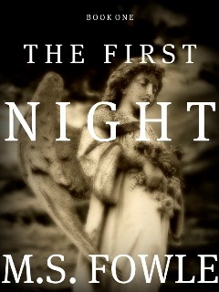 The First Night (The First, #1)