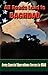 All Roads Lead to Baghdad by Charles H. Briscoe All Roads Lead to Baghdad by Charles H. Briscoe