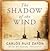 The Shadow of the Wind by Carlos Ruiz Zafón