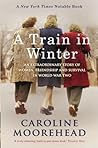 A Train in Winter...