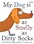 My Dog Is As Smelly As Dirty Socks by Hanoch Piven