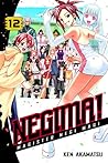 Negima! Magister Negi Magi, Vol. 12 (Negima! Magister Negi Magi, #12)