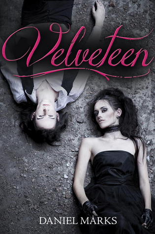 Velveteen By Daniel Marks