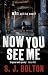 Now You See Me (Lacey Flint...