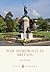War Memorials in Britain (Shire Library)