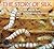 The Story of Silk: From Wor...