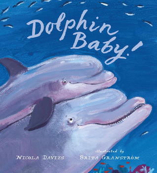 Dolphin Baby! (Hardcover)