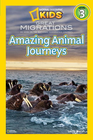 Great Migrations: Amazing Animal Journeys (Paperback)