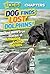Dog Finds Lost Dolphins: An...