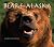 Bears of Alaska