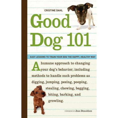 good dog 101