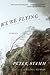 We're Flying by Peter Stamm