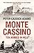 Monte Cassino: Ten Armies in Hell