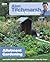 How to Garden: Allotment Gardening