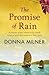 The Promise Of Rain