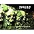 Skulls