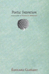 Poetic Intention (Paperback)