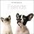 the little book of Friends