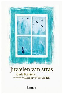 Juwelen van stras