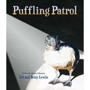 Puffling Patrol (Hardcover)