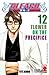 Bleach, Vol. 12: Flower on the Precipice