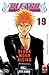 Bleach, Vol. 19: The Black Moon Rising