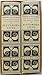 The Lives of the Noble Grecians and Romans, Vols 1-2