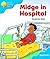 Midge In Hospital (Oxford Reading Tree: Stage 3: Sparrows, Oxford Reading Tree Branchesos)